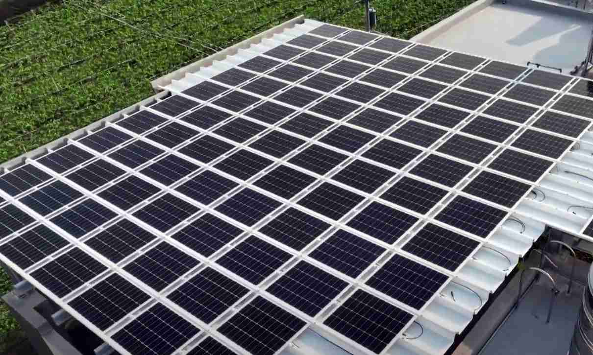 JDB电子SunSteel光电浪板升级双玻结构，，以提升机械负载强度及气候耐候度，，，，可广泛运用于多元场域